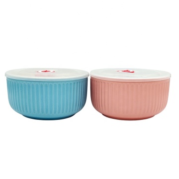 Ceramic Bowl with Lid - Custom Logo Relief Craft Embossed Microwave Food Storage