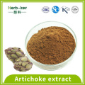 El extracto de alcachofa contiene 5% de cynarin