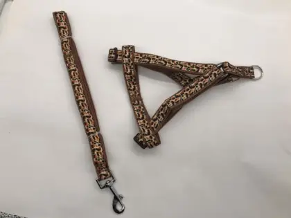 Dog Training Harness Vest Mountain Climbing Leash