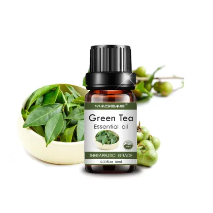 Green Tea Essential Oil Premium Grade Green Tea Fragrance