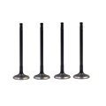 High Quality 90410813 Engine Valve