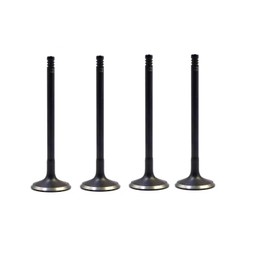 High Quality 90410813 Engine Valve