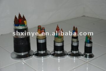 10kv XLPE/PVC Cable