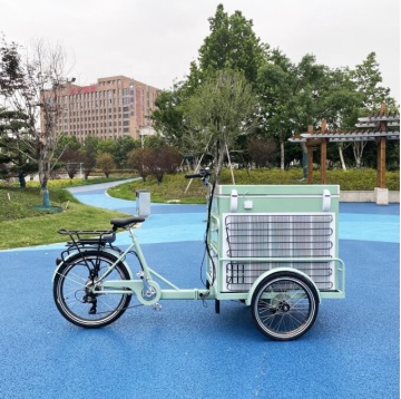 Van del gelato elettrico: Trike da carico a 36 V per biciclette di ghiaccioli con frigorifero per la vendita di strada