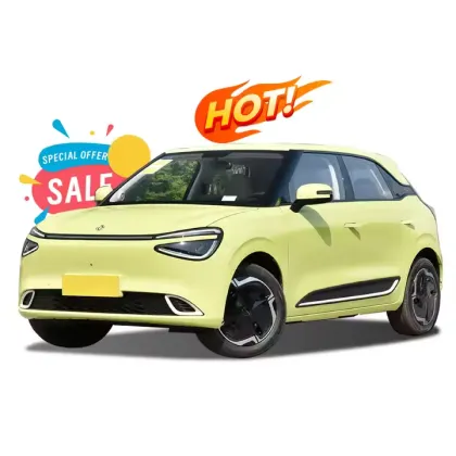 2024 Dongfeng Nammi 01 Electric Hatchback