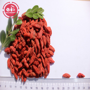 High nutrition Chinese Herb Low pesticide Goji Berries