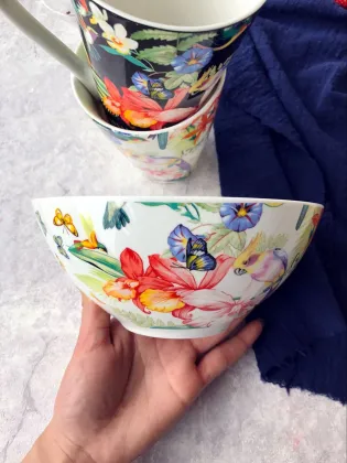 Fruit series ins style steak plate dinner plate