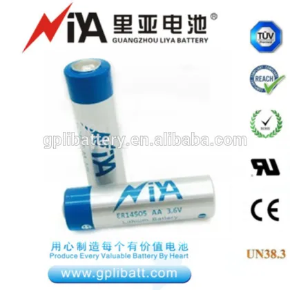ER14505 aa battery pack 3.6 V 2400mAh primary & dry batteries heat meter battery