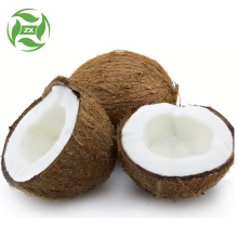 Иловагӣ равғани кокосии органикӣ