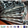 China Zinc Plated Umbrella Roofing Nails Supplier