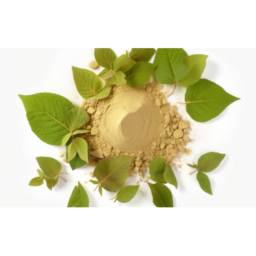 Ginseng Root Extract Ginsenoside Powder 80% Ginseng root extract Ginseng capsules Manufactory