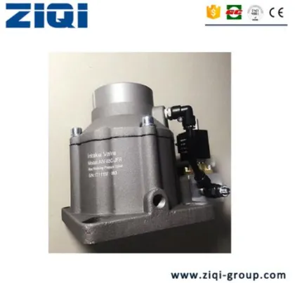 Screw Air Compressor Spare Parts: Intake Valves for Atlas Copco, Bolaite, Anest Iwata, and OEM Services