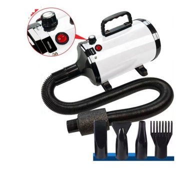 Movable Blower Dryer for Professional Car Washing