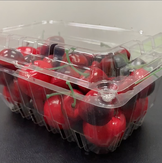 Cherry Plastic Fruit Tray with Lid