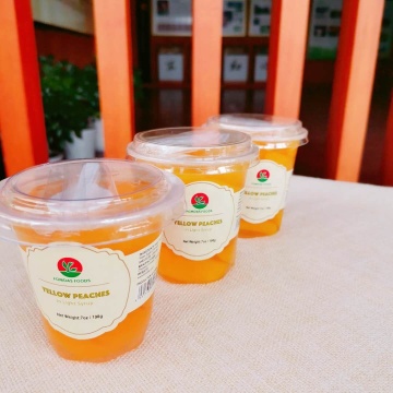 198 g AMS pesca nel succo di frutta
