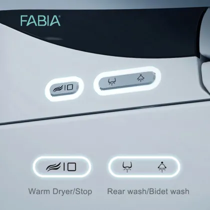 High Tech Automatic Smart Toilet Bowl