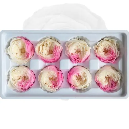 Kunming High Quality Peony Preserved Austin Rose for Home Decor