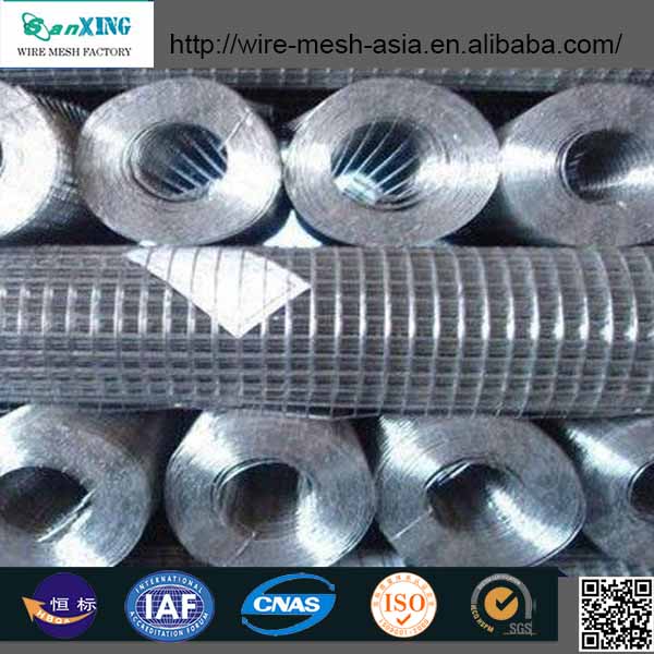 Welded Wire Mesh with Low Price