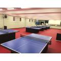 ITTF Certificated Vinyl Table Tennis Floor