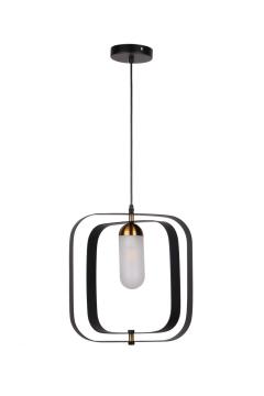 Morden LED Pendent Interior lighting decor