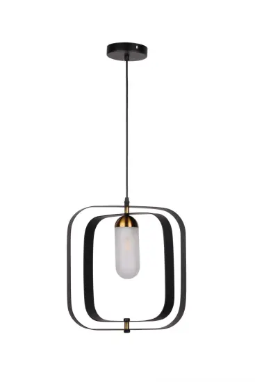 Morden LED Pendent Interior lighting decor