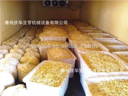 Bean Sprout Machine mung bean sprout machine bean sprout making machine