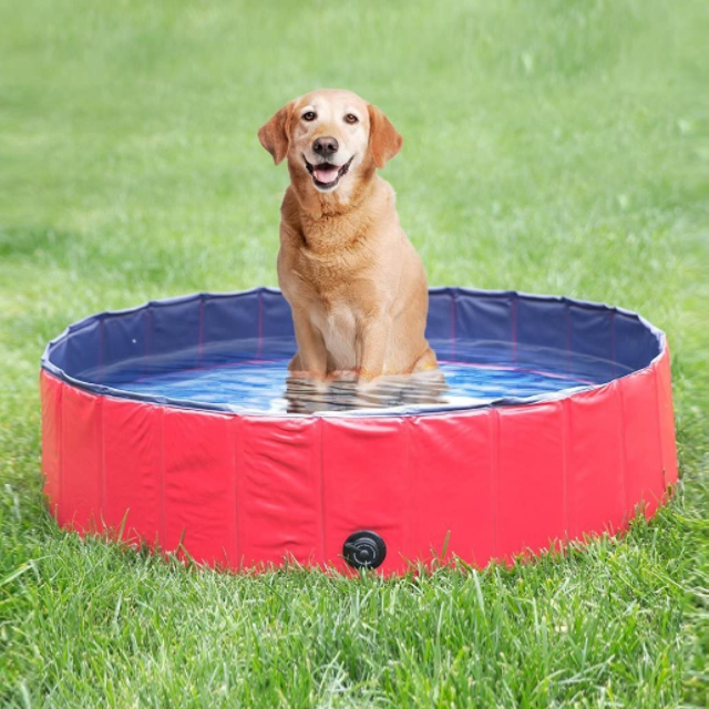 PVC Pet Swimming Pool bærbart sammenleggbart basseng