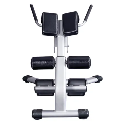 Home Exercise Equipment Back Extension Bench Roman Chair
