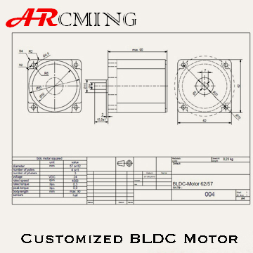Customer design brushless motor