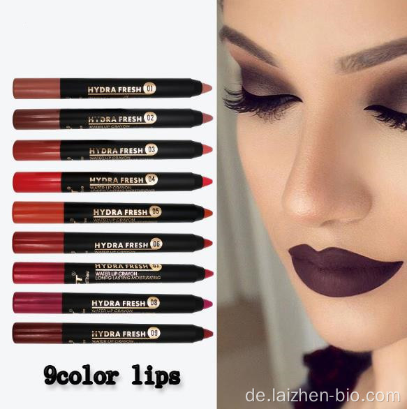 Benutzerdefinierte Make-up Lippenstift Stift matt wasserdichte Kosmetik