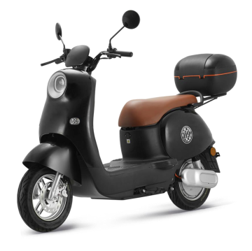 Customizable 350W Electric Motorcycle Scooter with Pedals for Adult Ladies