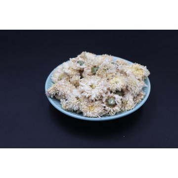 trà hoa cúc phổ biến