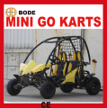 110cc Mini Go Kart mit zwei Sitzplätzen