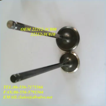 OEM 22211-3C810 22212-3C800 engine valve for HG3.0, K7, K9