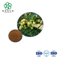 Phyllanthus Bulkbuy Amla Extract 10:1 for Antioxidant Support
