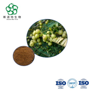 Phyllanthus Bulkbuy Amla Extract 10:1 for Antioxidant Support