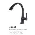 Pull out Kitchen Faucet 6675B
