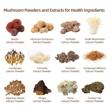 Organic Cordyceps Militaris Extract