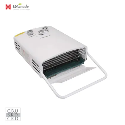 Customized 40 Gallon Paloma Tankless Camping Portable Gas Water Heater