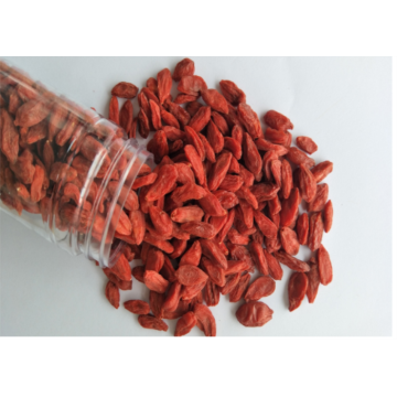 Ningxia New Harvest Hot sale Chinese goji berry