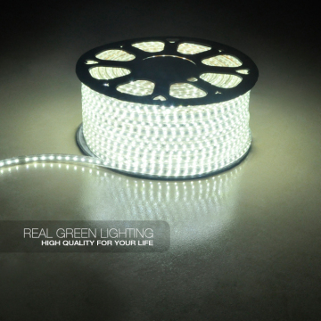 CE listed ! 220V 5000K 3528 SMD LED Strip Light
