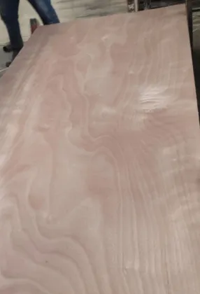 Red Oak and White Oak Plywood