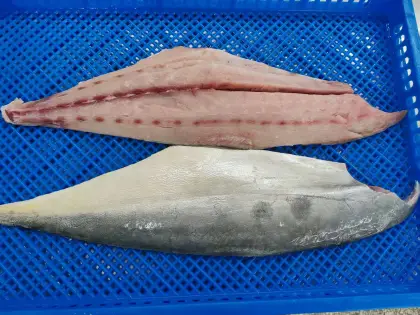 Frozen Queenfish fillet