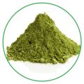 Wholesale best price 100% natural alfalfa powder