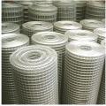 SUS Welded Wire Mesh