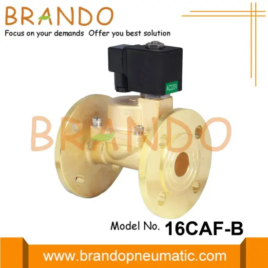 1'' 1-1/4'' 1-1/2'' 2'' Flanged Solenoid Valve Steam