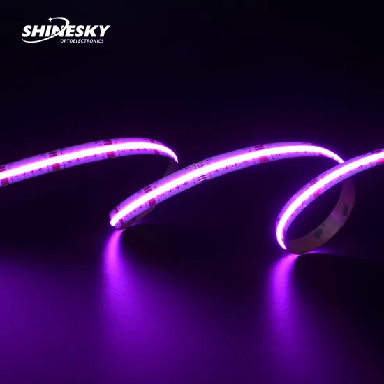 Professional Factory LED Strip Lights: Dream Full Color RGBW, Waterproof, 720LED/S, DC12V COB LED Strips