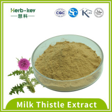Protect liver 30% milk thistle extract Silybin