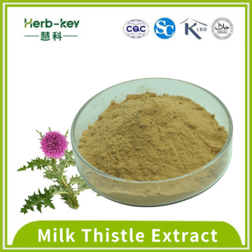 80% Milch Thistle Extrakt Silymarin Pulver