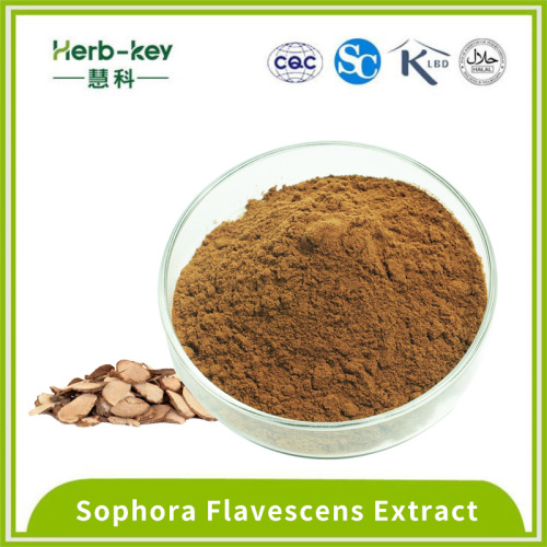 1% de poudre d'extrait de Flavescens de Sophora Flavescens